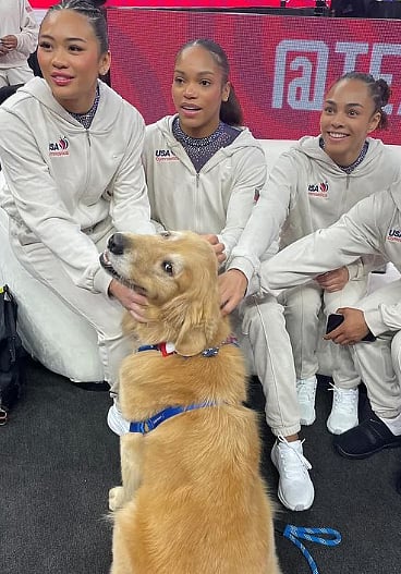 Meet Beacon: 4-Year-Old Dog Providing Emotional Support To USA's Gymnastics Team During Paris 2024...